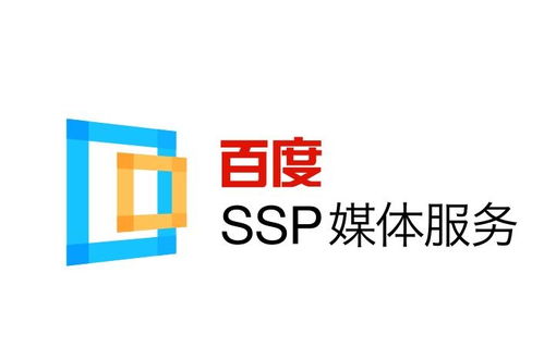 黑帽技术蜘蛛池快速收录